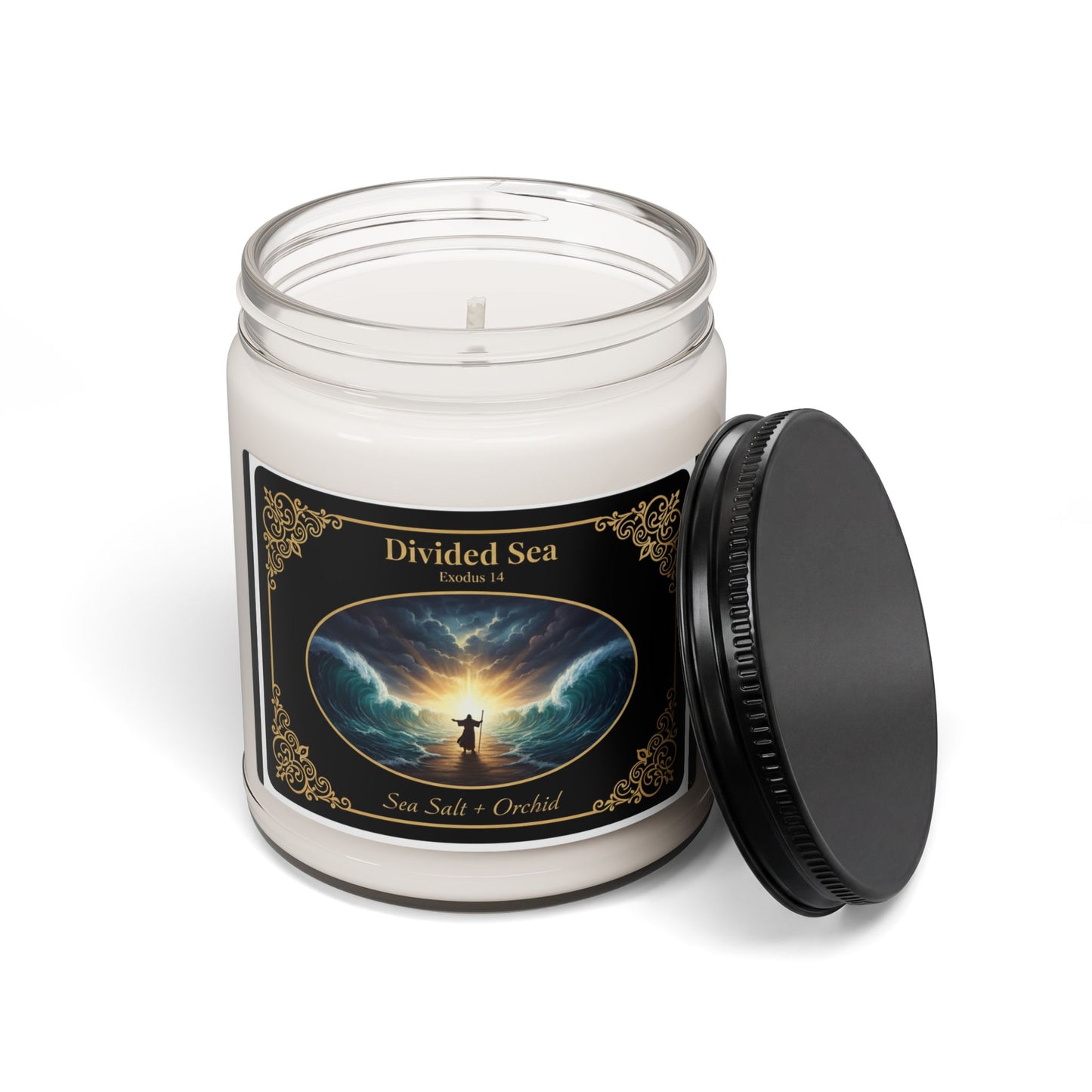 Divided Sea | Sea Salt + Orchid | Scented Soy Candle