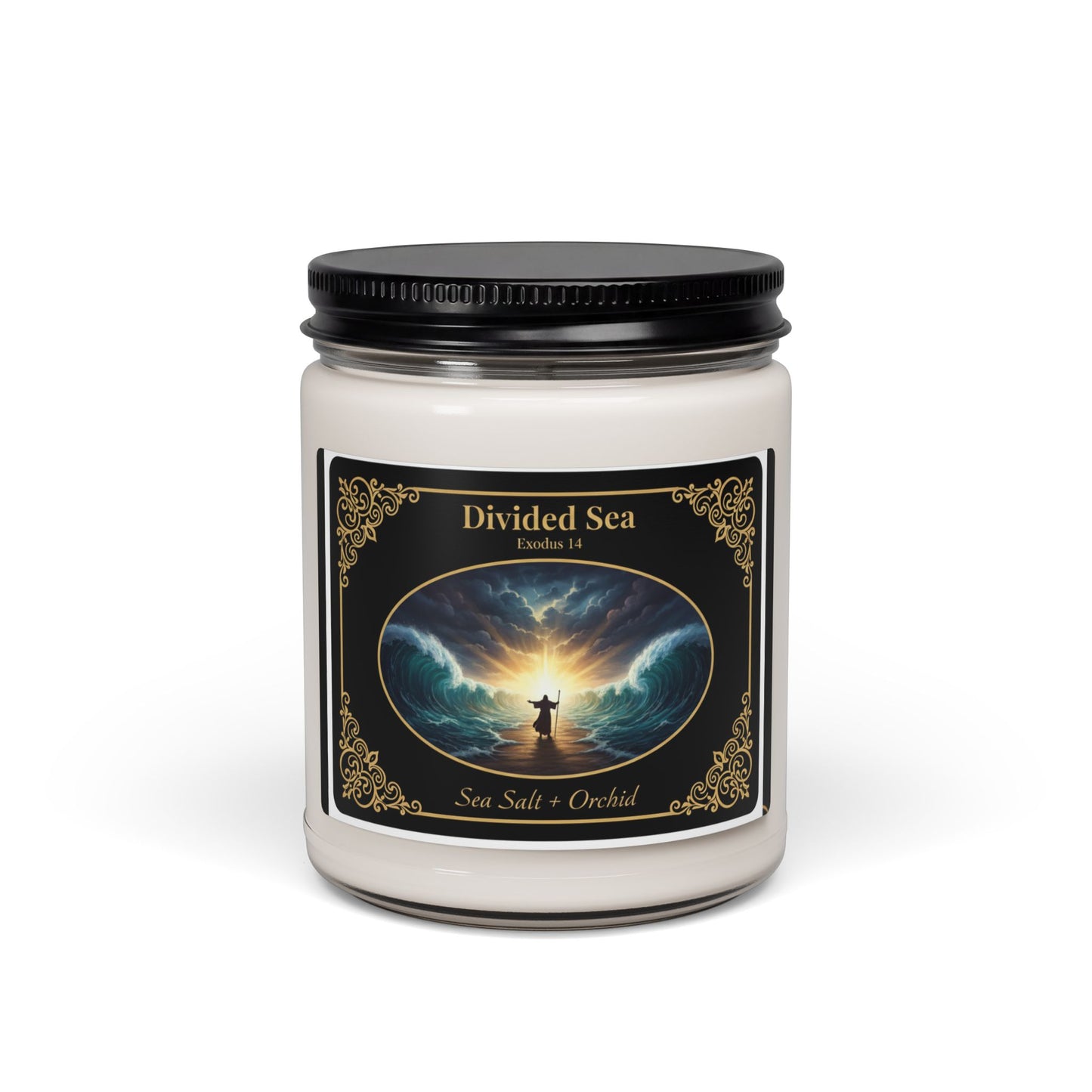 Divided Sea | Sea Salt + Orchid | Scented Soy Candle