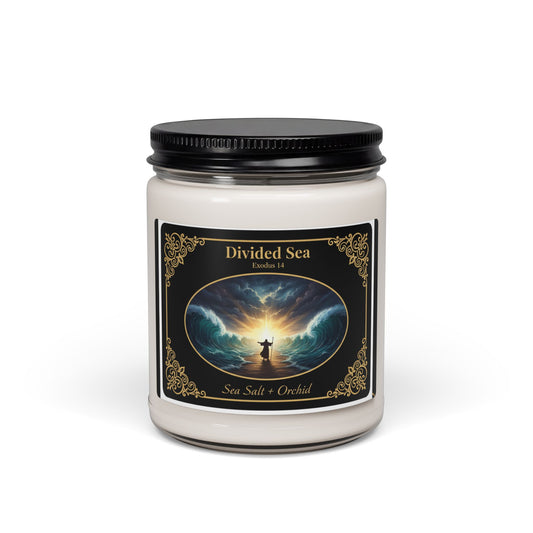 Divided Sea | Sea Salt + Orchid | Scented Soy Candle